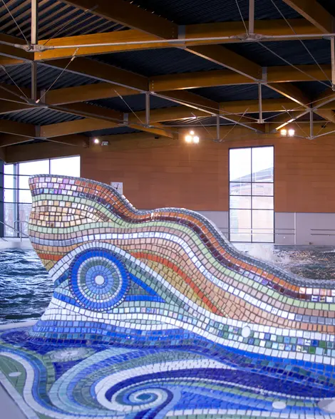 Centre Aquatique Amandinois (Drache)