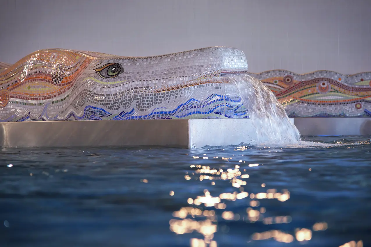 Centre Aquatique Amandinois Neubau Drache